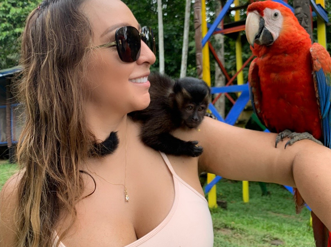 Naineku Amazon Trip Puerto Nariño景点图片