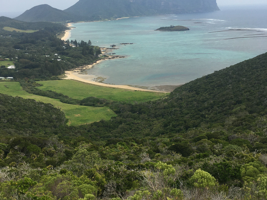 Lord Howe Island Walking Trails-豪勋爵群岛必去景点