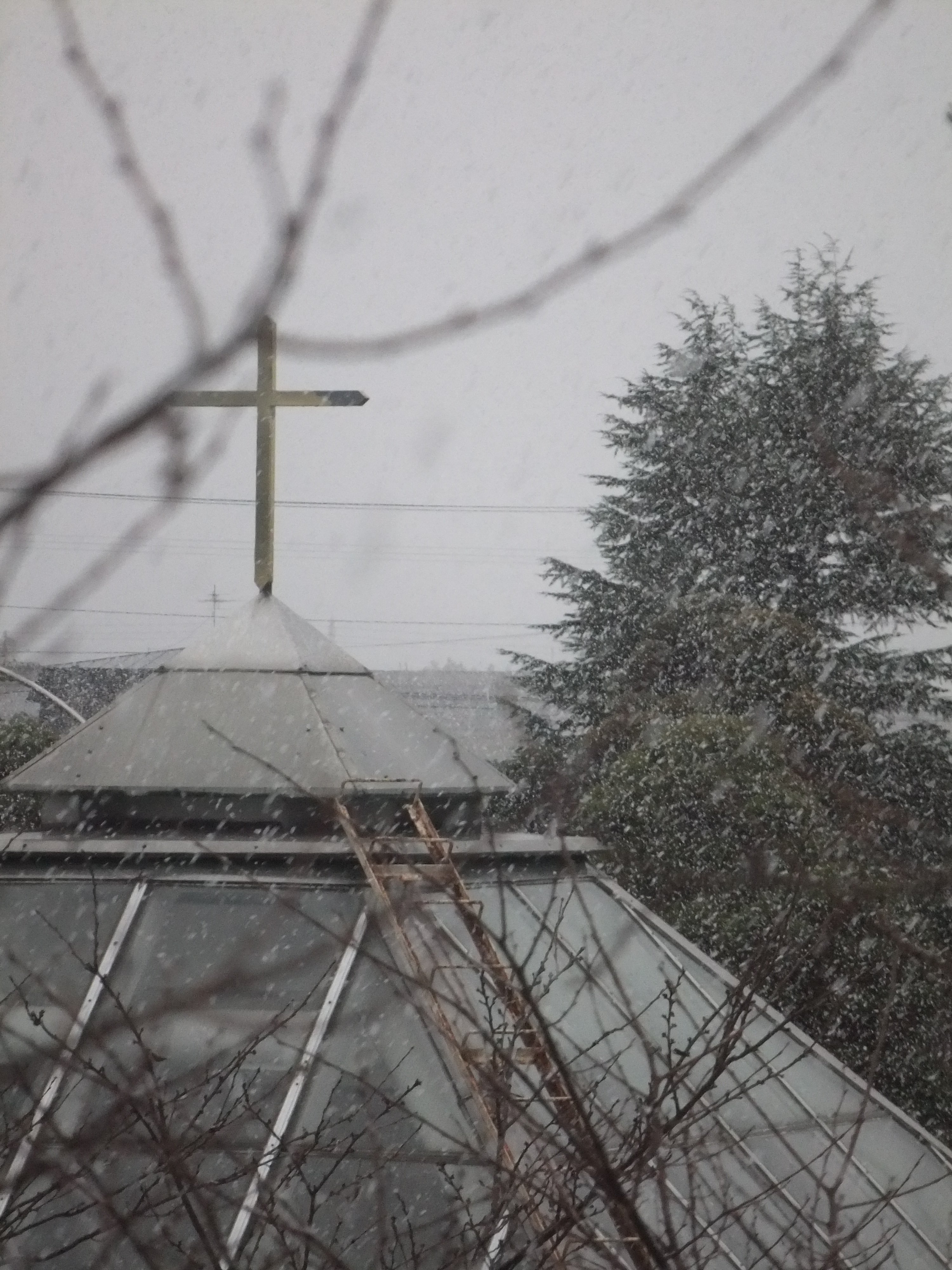 Hotel Apple Land-酒店景观