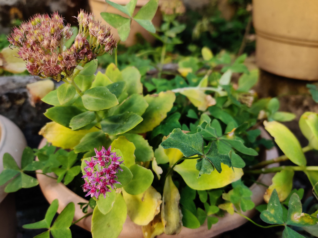 日落大酒店主图