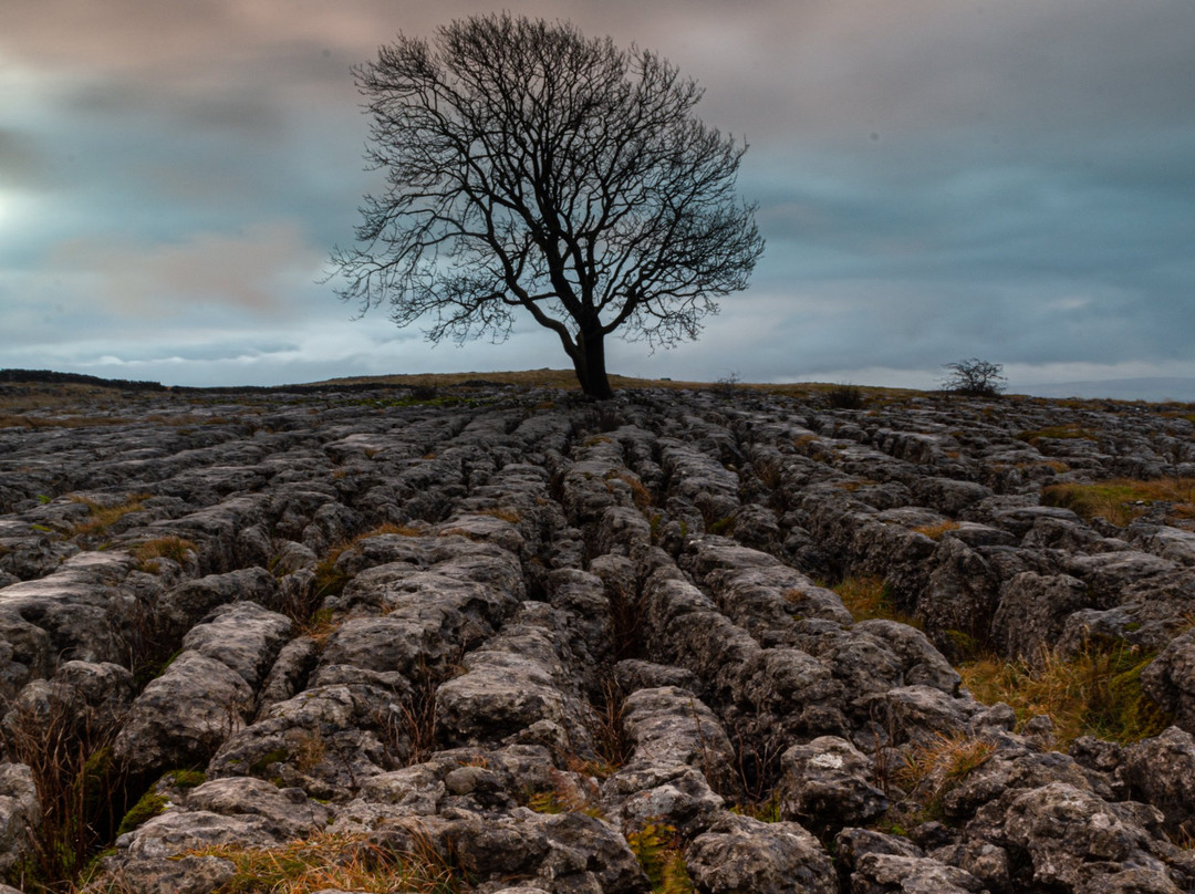 Nick Watson Landscape Photography Tours景点图片