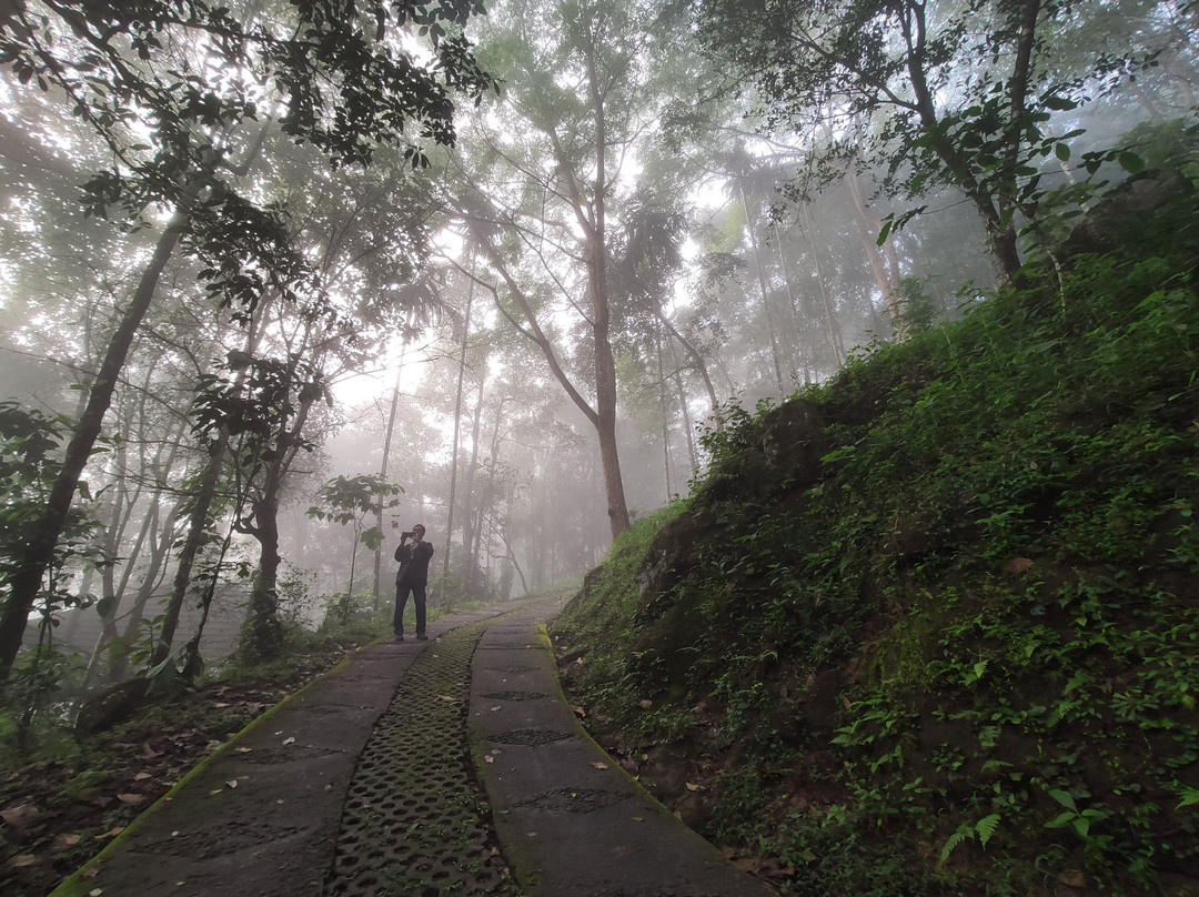 Wayanad Coffee Trail Resort主图