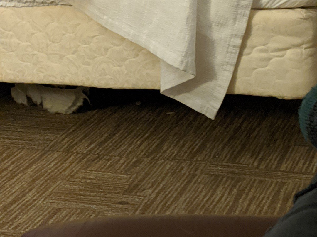 Staybridge Suites Chicago - Lincolnshire by IHG主图