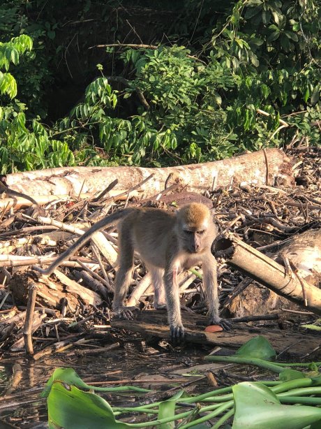 Menanggul B&B-官方