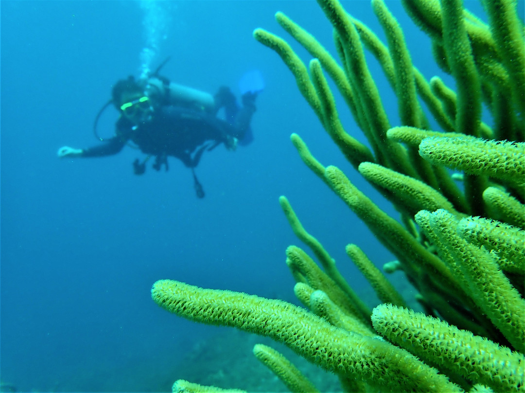 Barracuda Dive Center-位于塔甘加必去景点