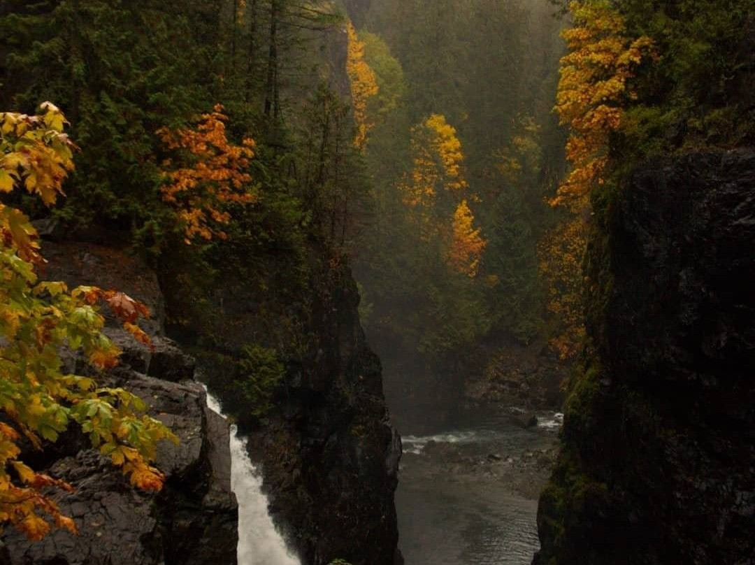 Elk Falls Provincial Park景点图片