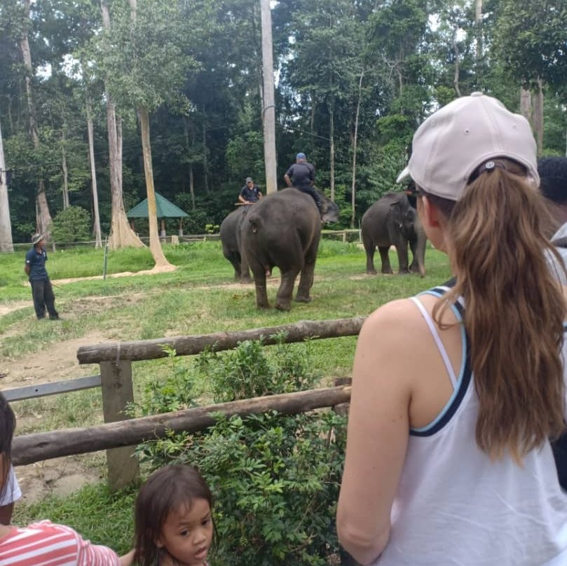 Kuala Gandah Elephant Sanctuary-彭亨必去景点