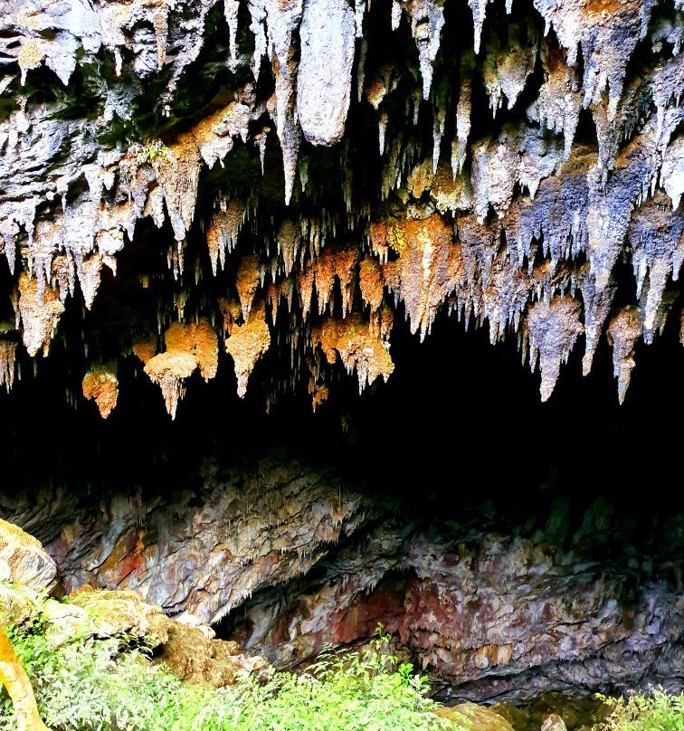 Rawhiti Cave Track景点图片