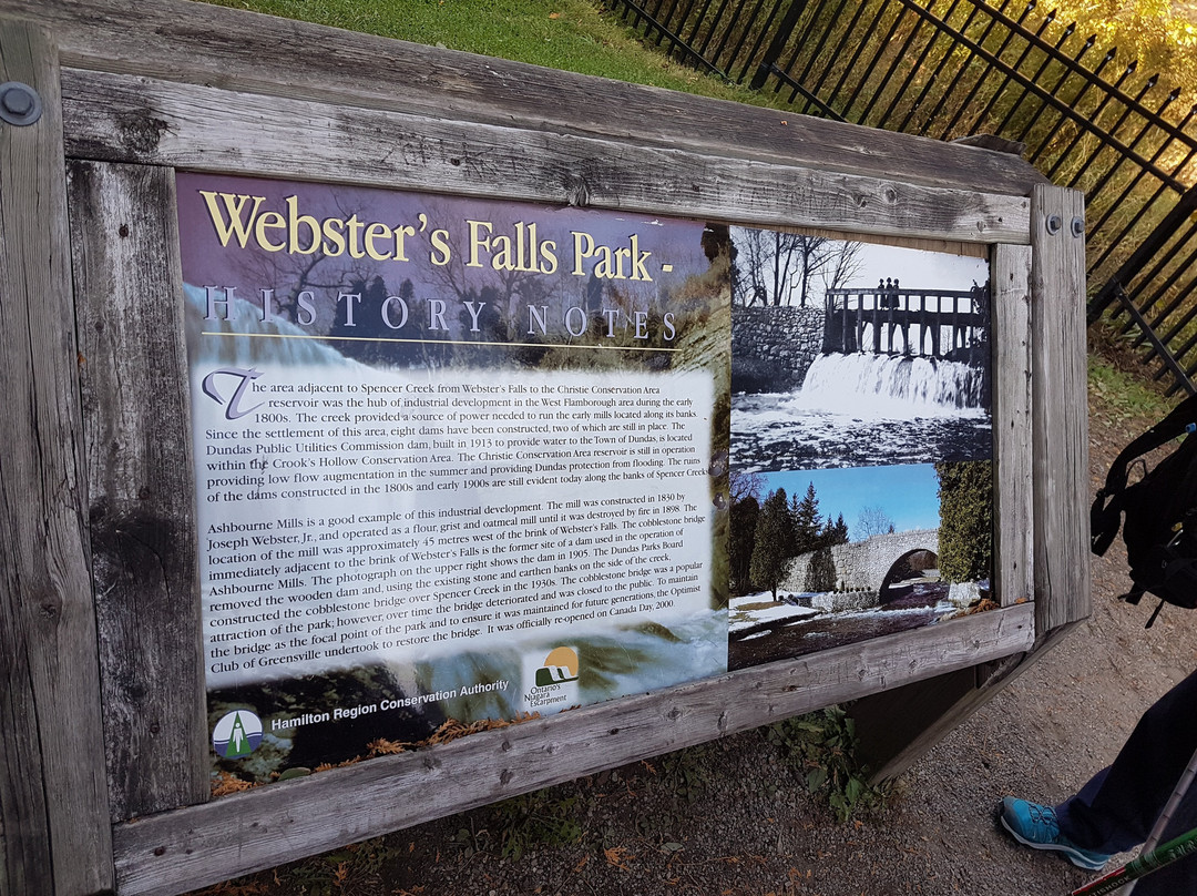 Webster Falls-邓达斯必去景点