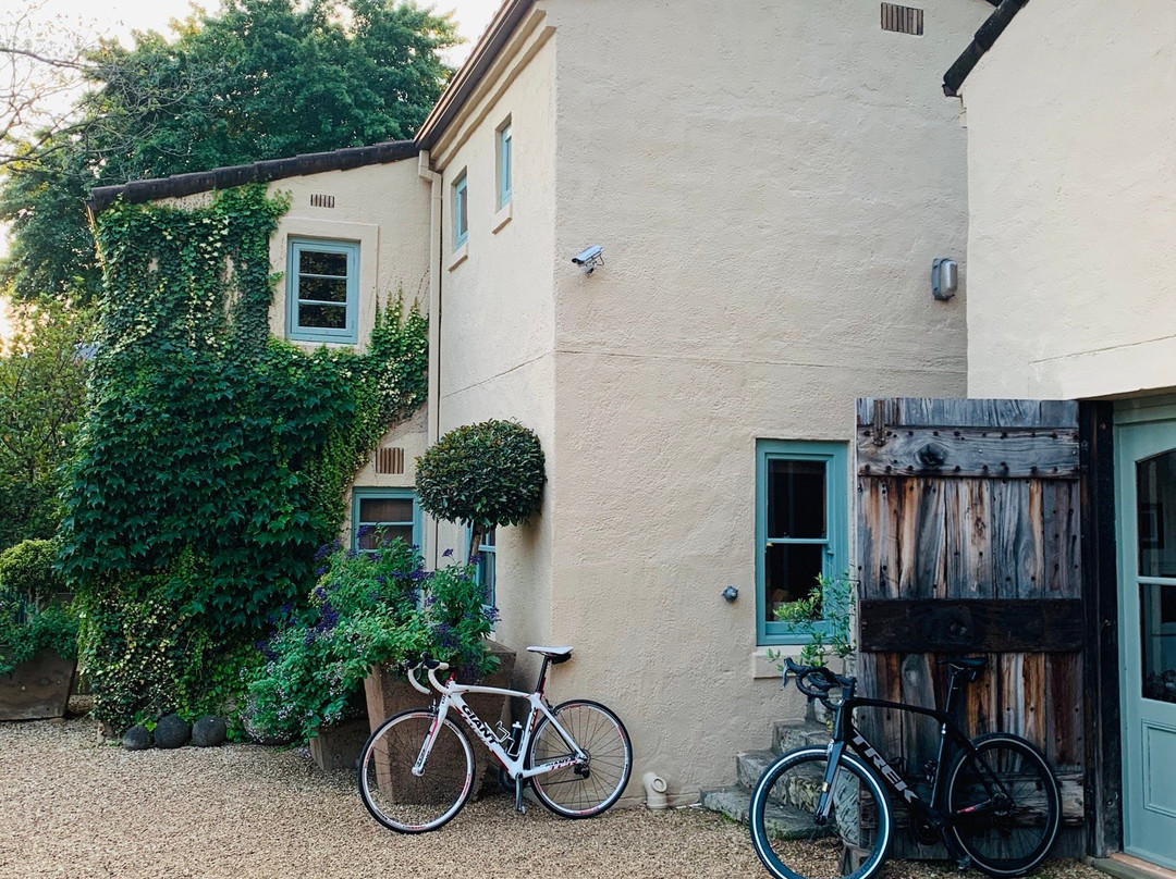 Babette Bed and Breakfast主图