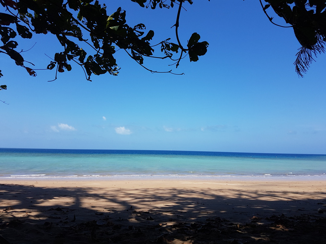 Le Jardin Maore主图