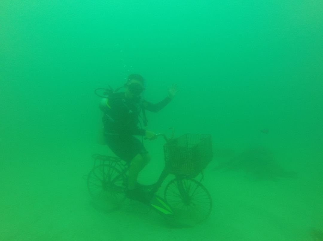 OrcaNation Singapore-新加坡必去景点