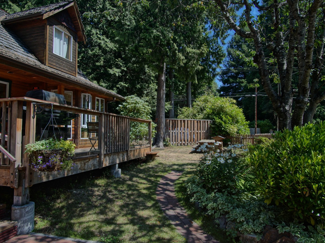 Up The Creek Backpacker's Lodge主图