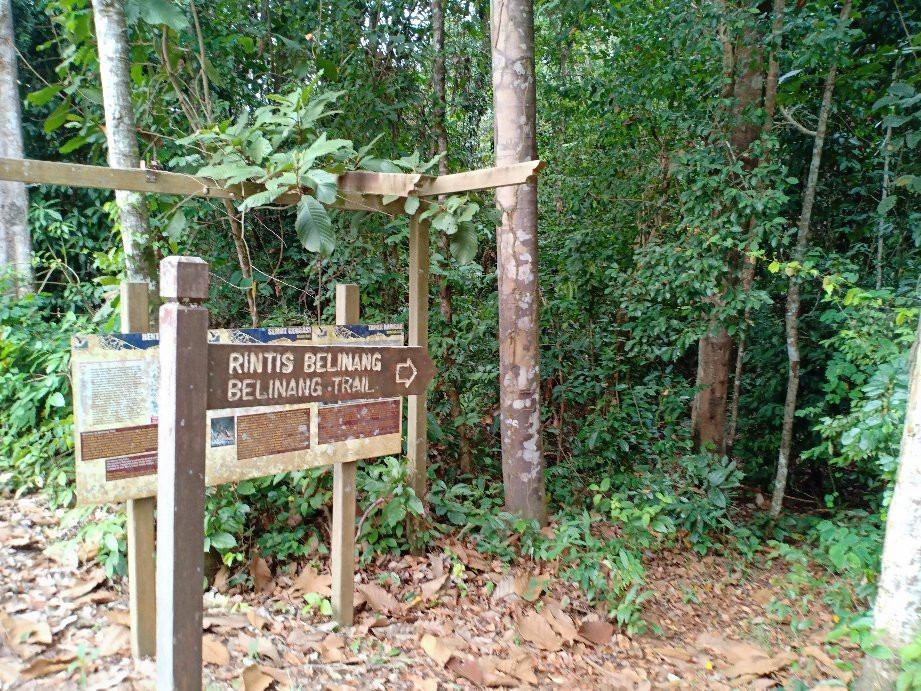 Bera Lake-直凉必去景点