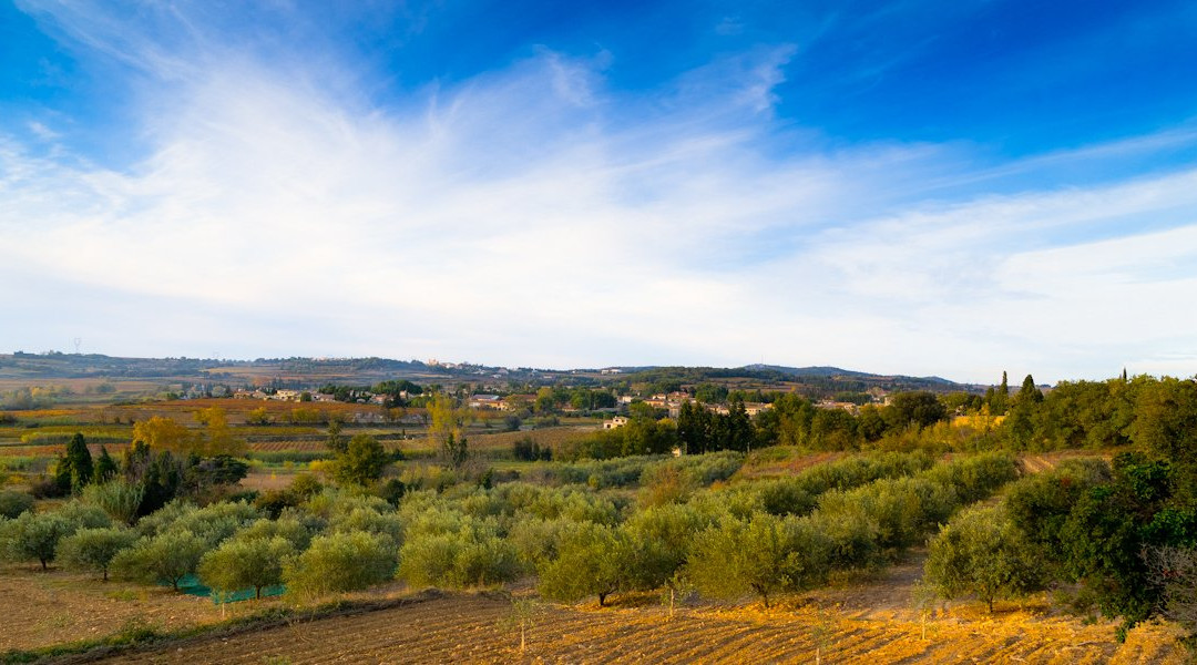 Domaine de la Valeriane-Domazan必去景点