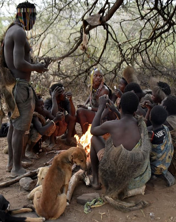 Peace Matunda Tours-阿鲁沙必去景点