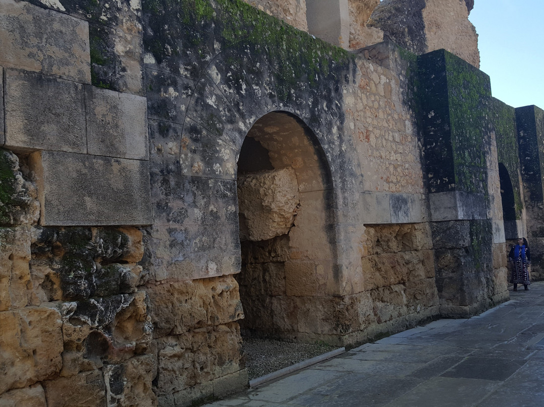 Anfiteatro de Italica景点图片