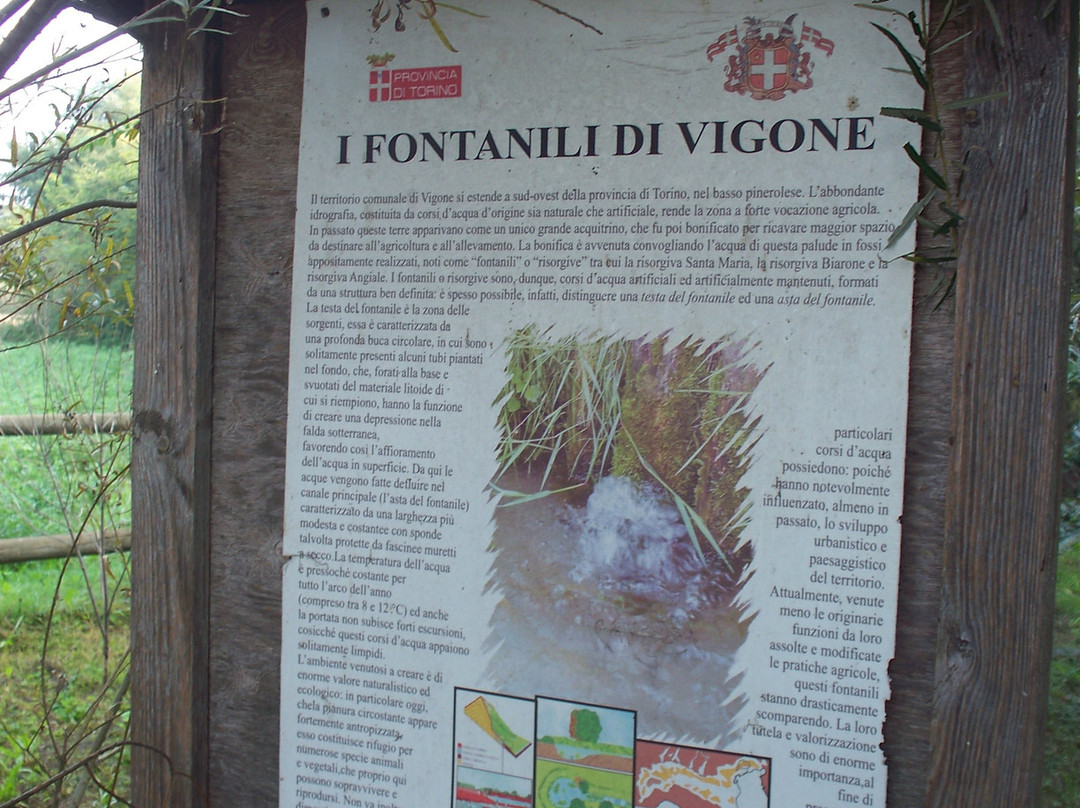 I Fontanili di Vigone景点图片
