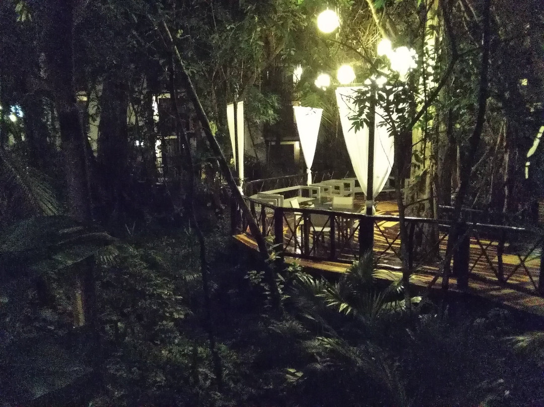 珊瑚礁帕雷卡酒店主图