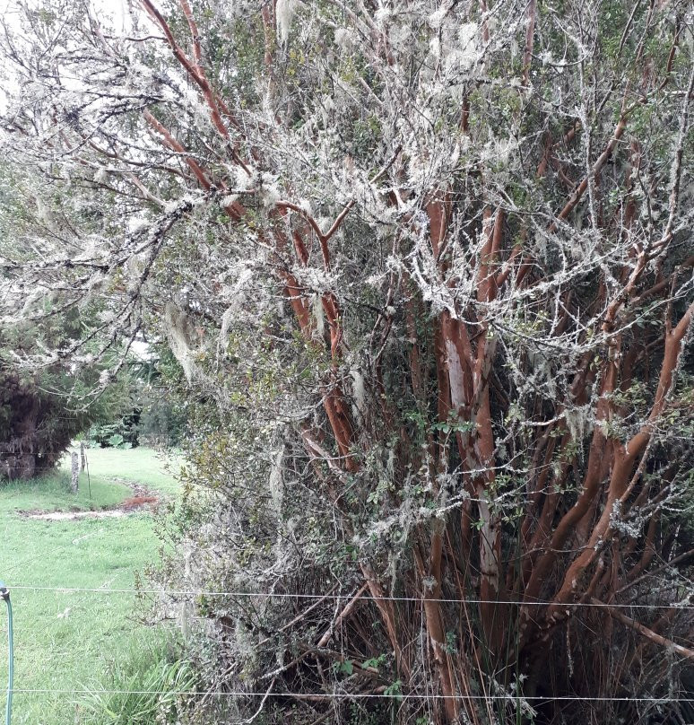 Granja Educativa Tierraviva-蒙特港必去景点