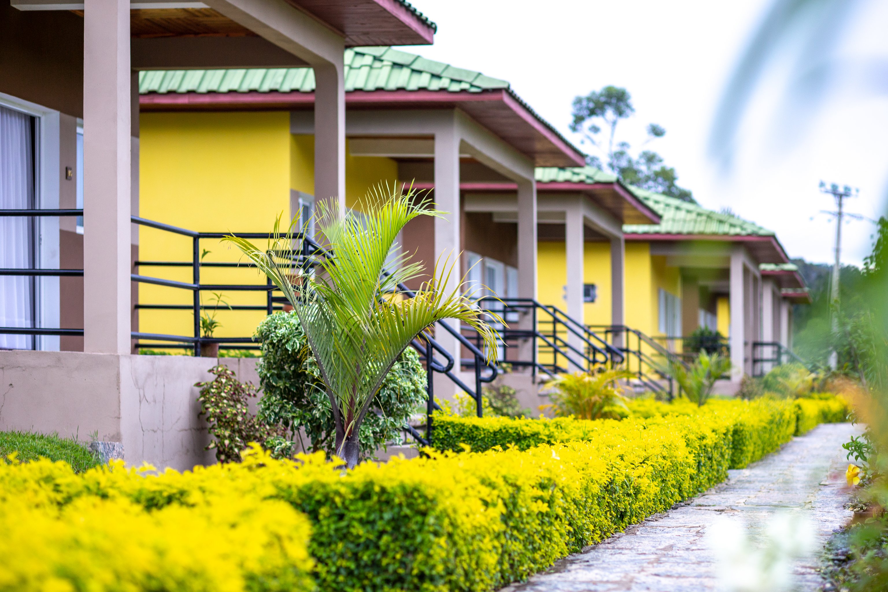 Andasibe Lemurs Lodge-官方