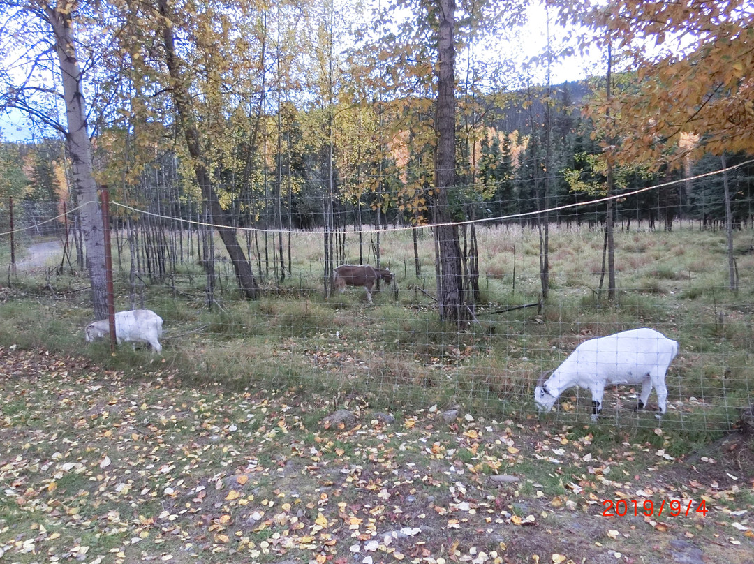 珍娜温泉度假村主图