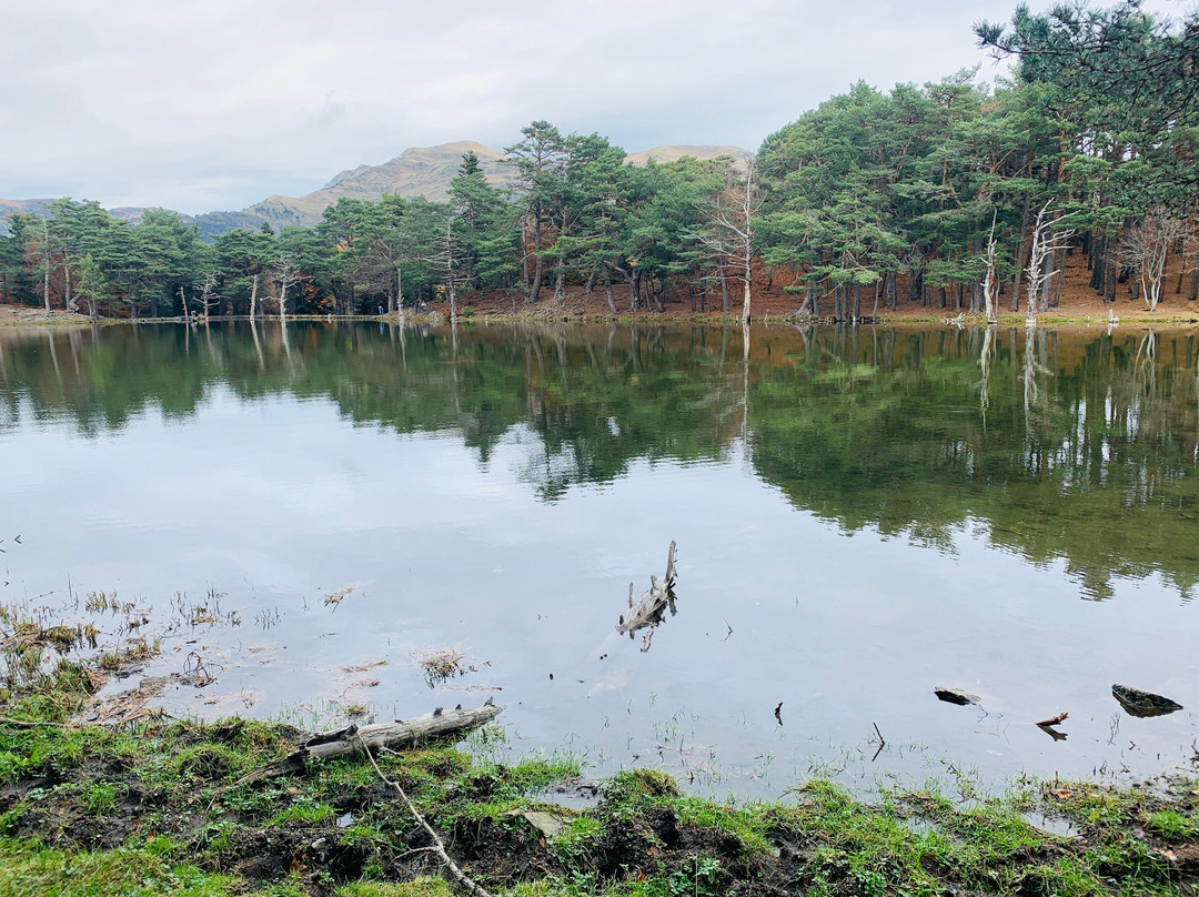 Bassa d'Oles景点图片