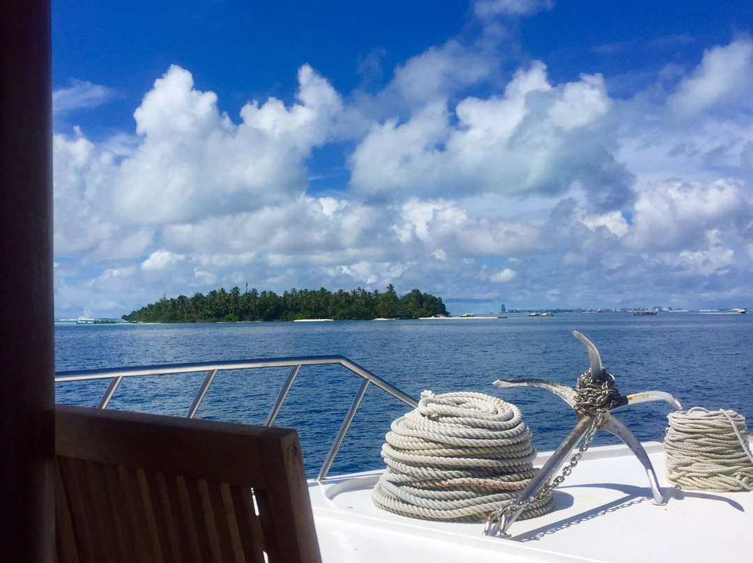 Diving Adventure Maldives-马累必去景点