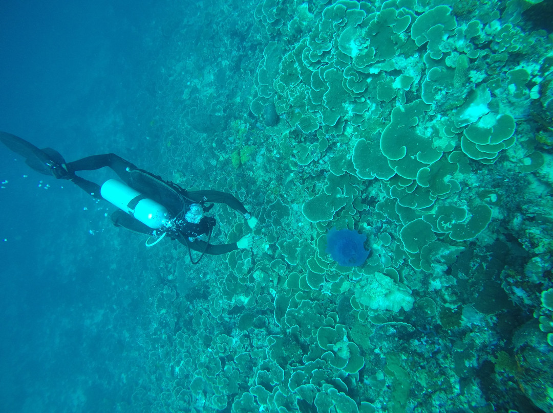 SK Divers Center-拉普拉普必去景点