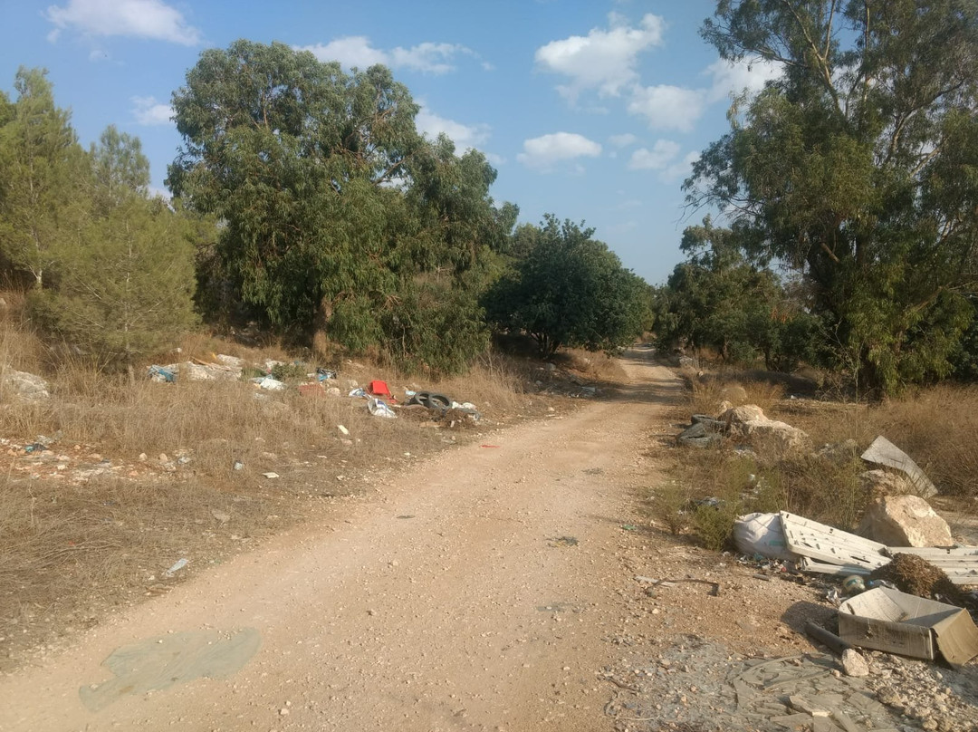 Jesus Trail-加利利必去景点