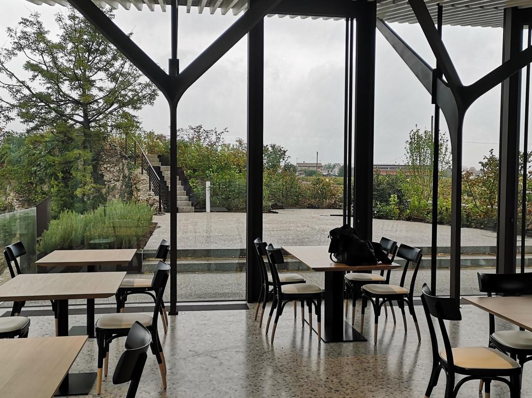 Covolo旅游攻略图片