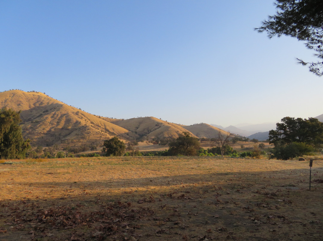 Lazy J Ranch Motel主图