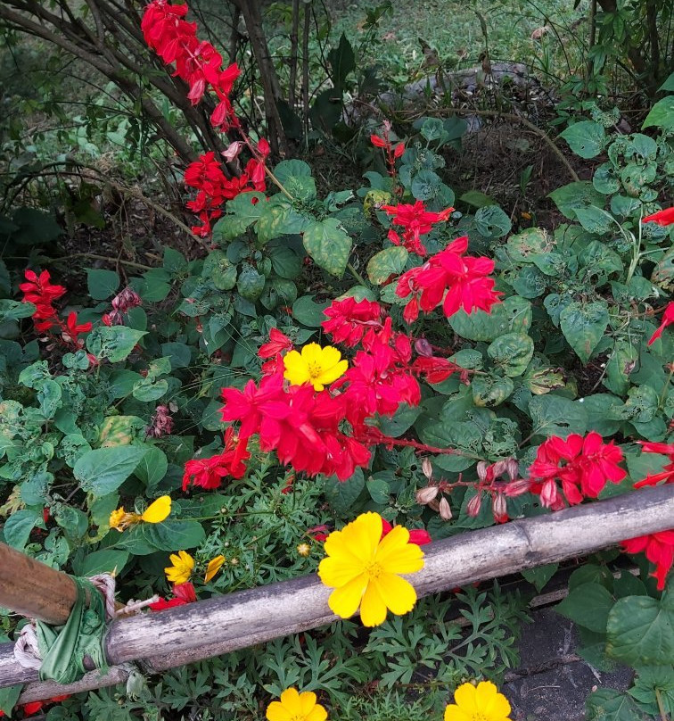Namchi Ropeway-Namchi必去景点