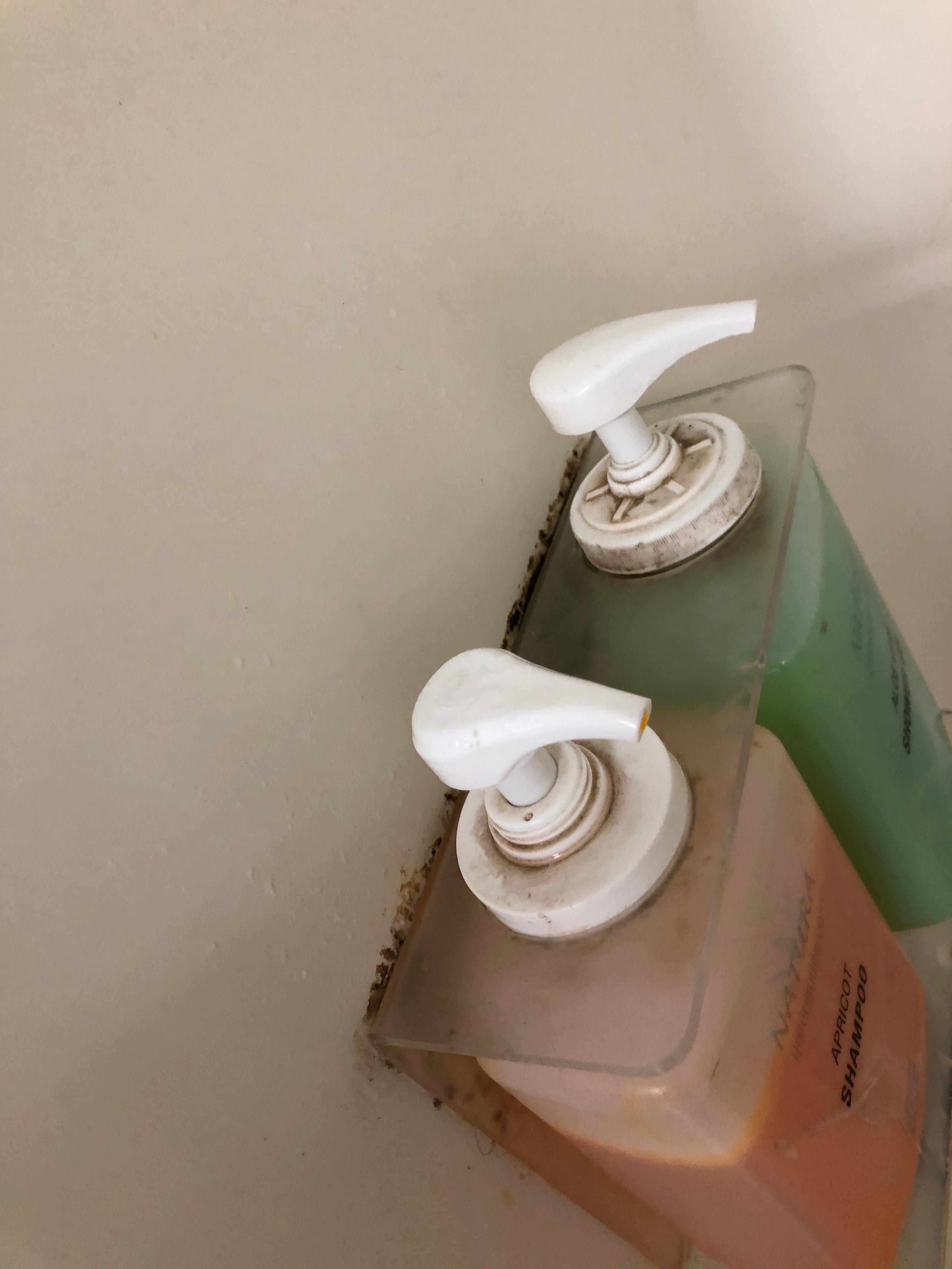 约塞米蒂国家公园营地-portrait