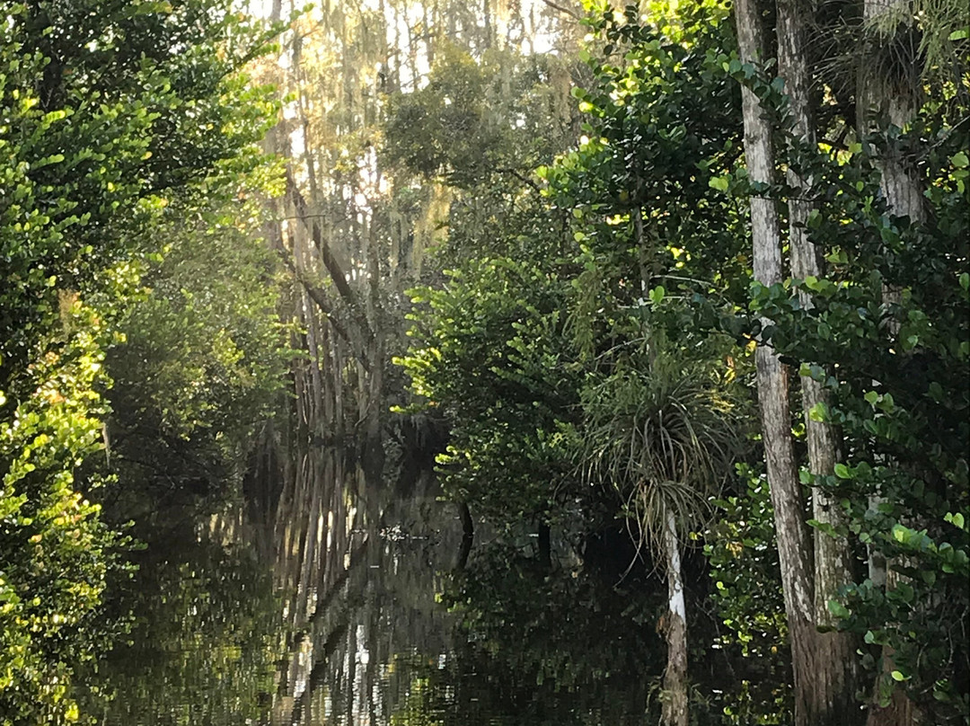 Tippy's Outpost Airboat Rides-奥乔皮必去景点