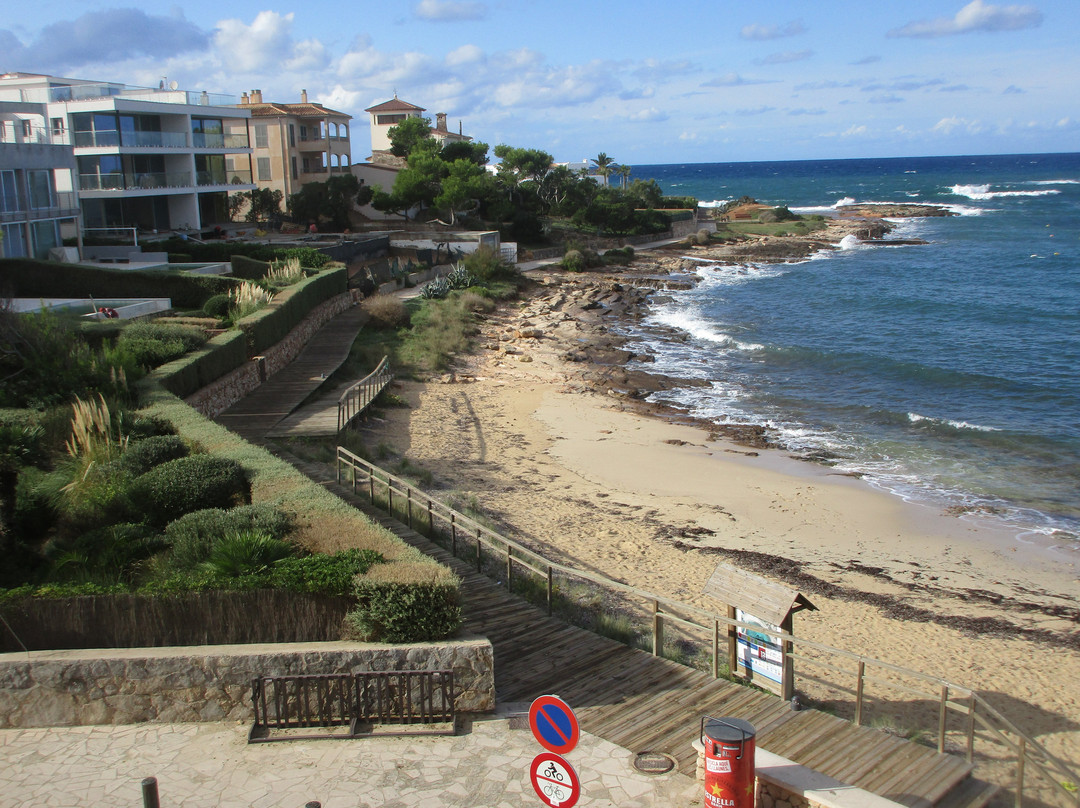 Universal Hotel Marqués主图