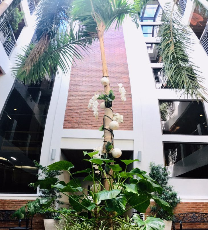 Paradores de Vigan主图