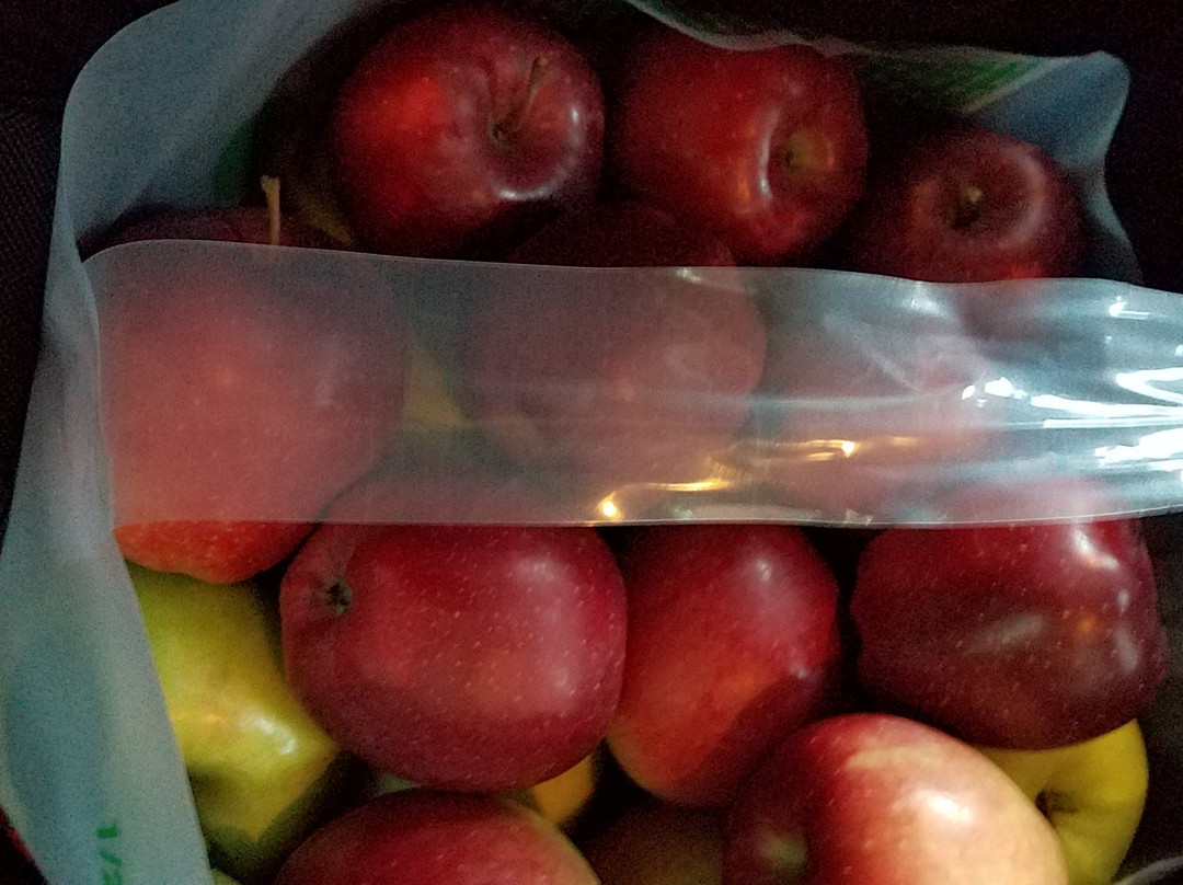 Rocky Brook Orchard-米德尔敦必去景点