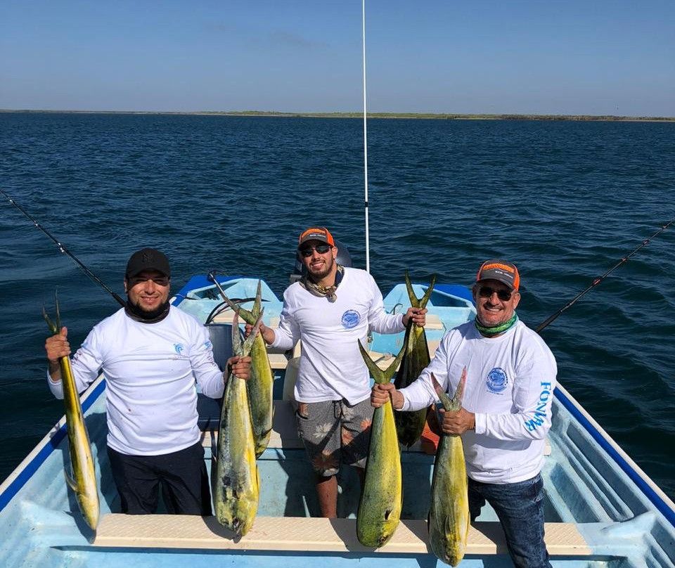 Baja Magdalena-圣何塞卡波必去景点