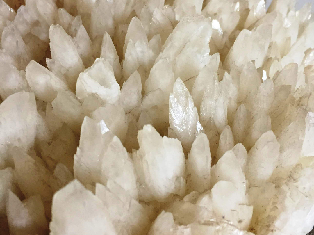 Museo de Los Metales-Torreon必去景点