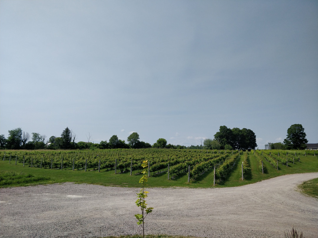 Little Red Wagon Winery