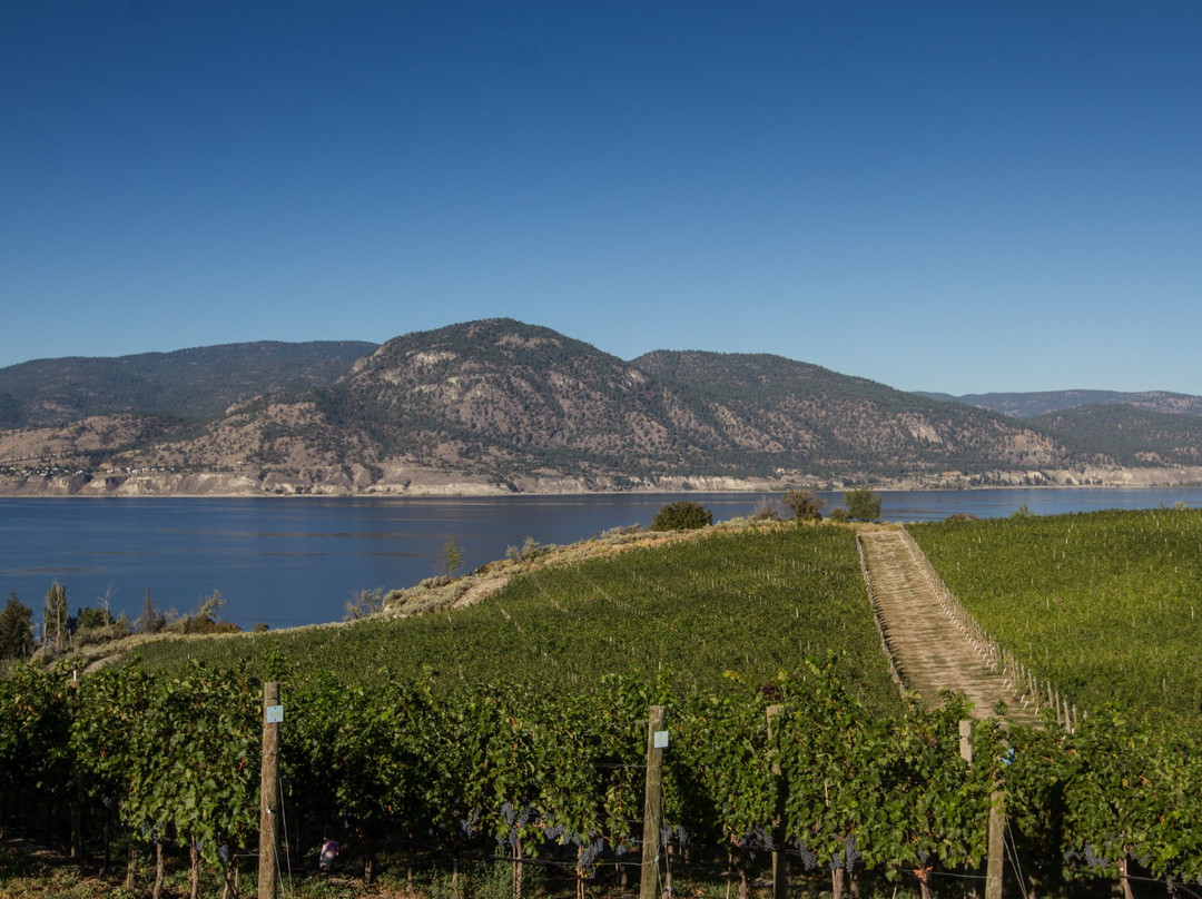 Tightrope Winery-彭蒂克顿必去景点