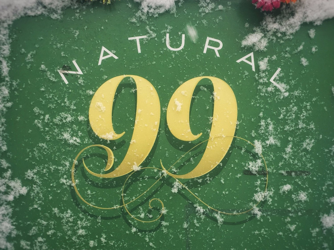 Natural 99 Spa & Salon景点图片