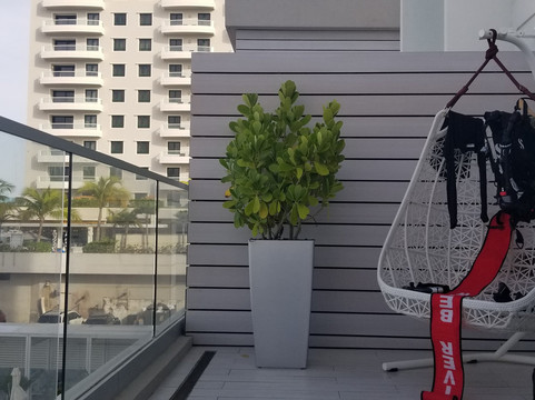 康达多海洋俱乐部-仅限大人主图