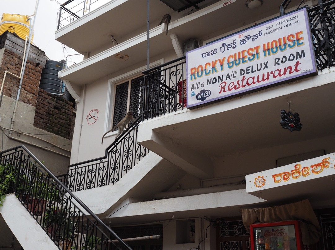Rocky Guesthouse主图