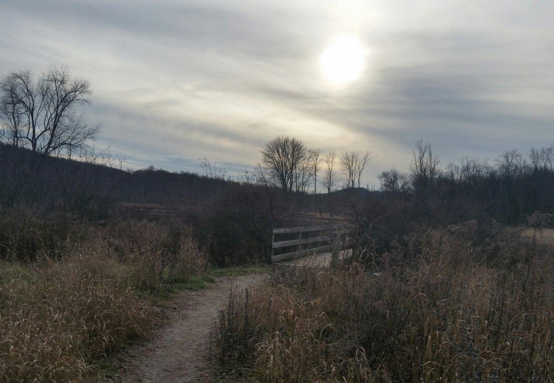 Goose Pond Mountain State Park景点图片