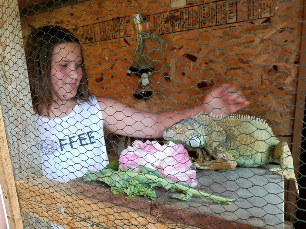 Funny Farm Petting Zoo-Eldon必去景点