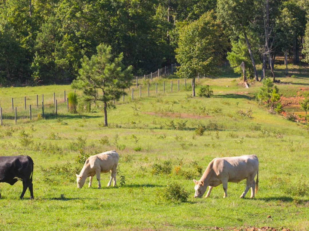 Warm Springs旅游景点-Full Circle Farm Sanctuary