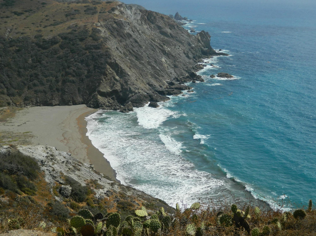 Catalina Island Conservancy景点图片