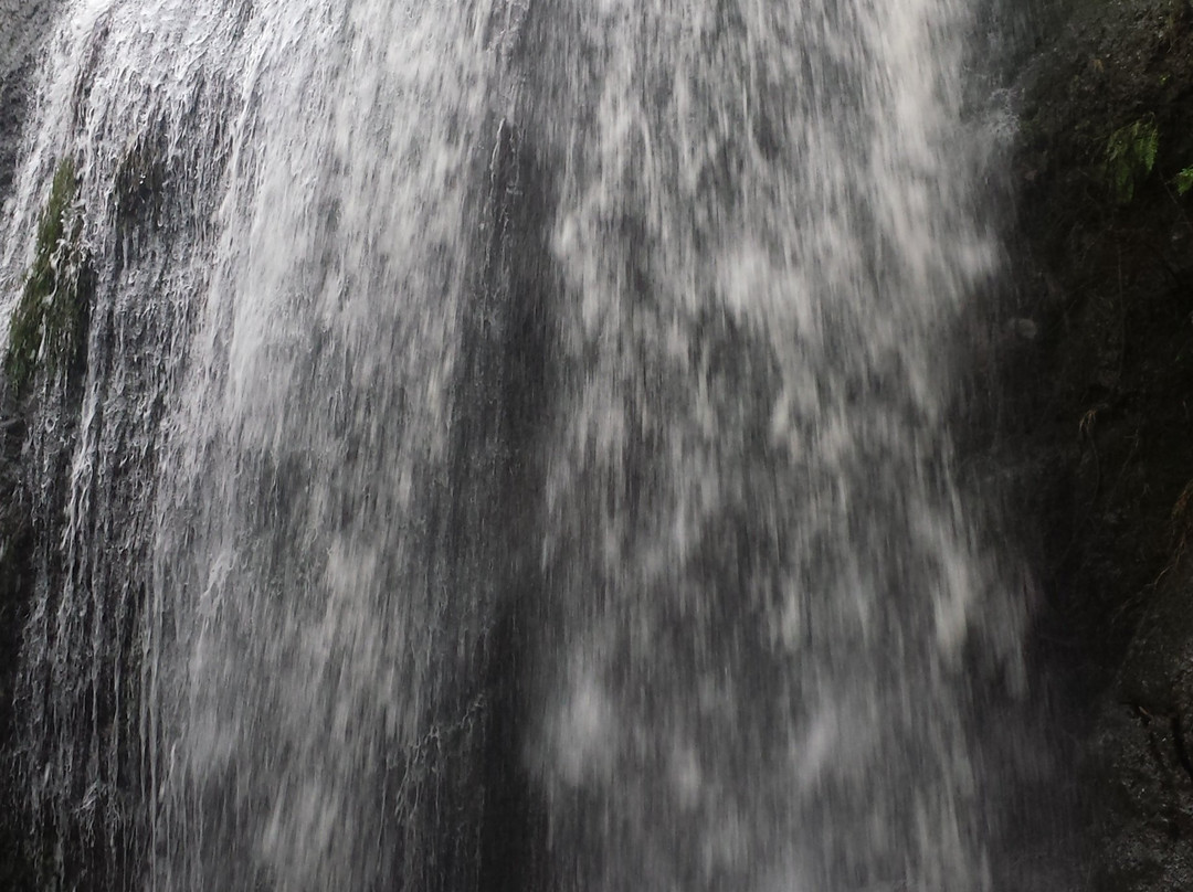 Tehan Falls景点图片